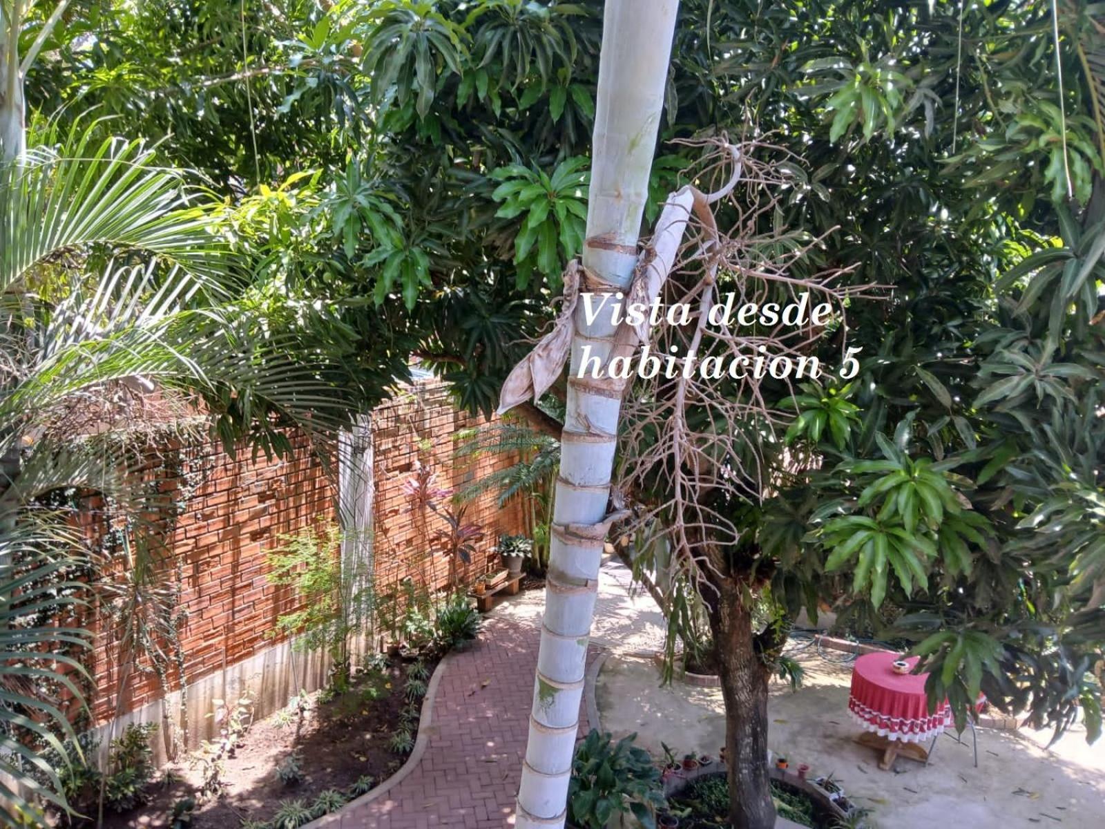 Alojamiento Familiar Custodia Tarapoto Eksteriør bilde